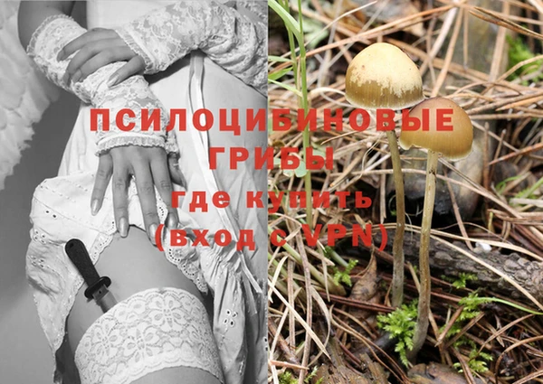a pvp Зеленокумск
