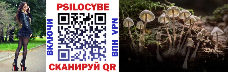 Купить закладки Бокситогорск Псилоцибиновые грибы Psilocybe